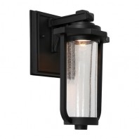 Cougar-Hartwell 1lt Exterior Wall Light Black & Bronze